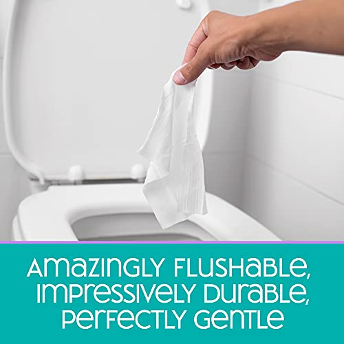 SecureFLUSH Aloe & Vitamin E Flushable Wet Wipes (42ct)