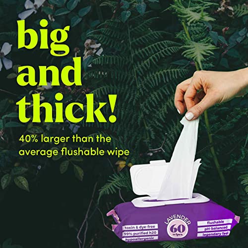 Goodwipes Lavender Flushable Butt Wipes - 180 count