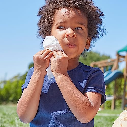 Natural Lavender Cleansing Wipes, 60 Count Multi-Tasking Formula