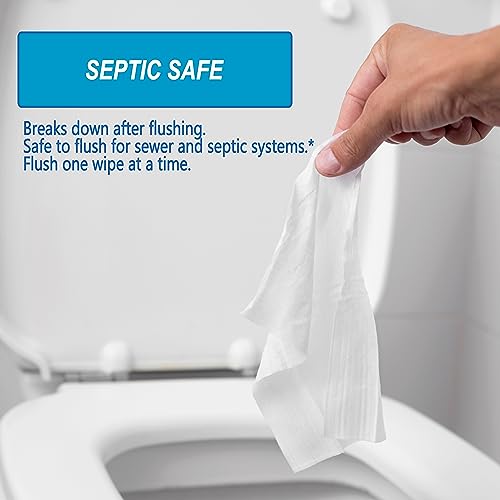 Flushable Butt Wet Wipes: 6 Packs, 300 Wipes