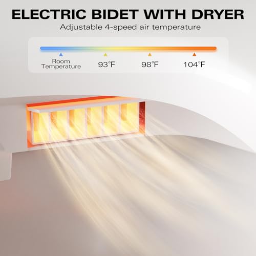 Luxury Bidet Toilet Seat with Remote Control and Nightlight