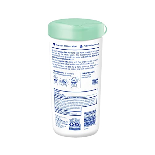 Unscented Wet Ones Sensitive Skin Wipes, 40 ct (6 pk)