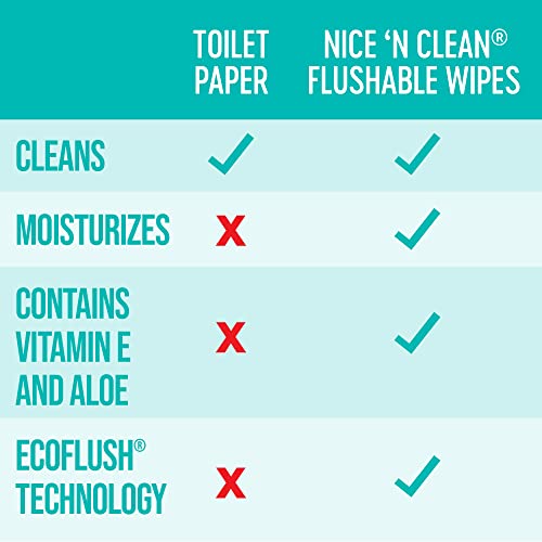 Aloe & Vitamin E Infused Flushable Butt Wipes Pack