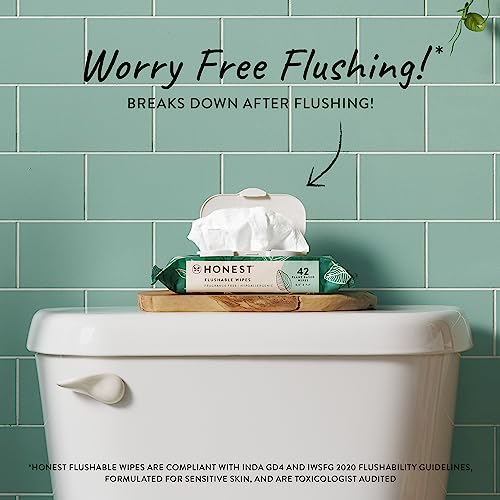 Plant-Based Flushable Wipes | 99% Water | 42 Count