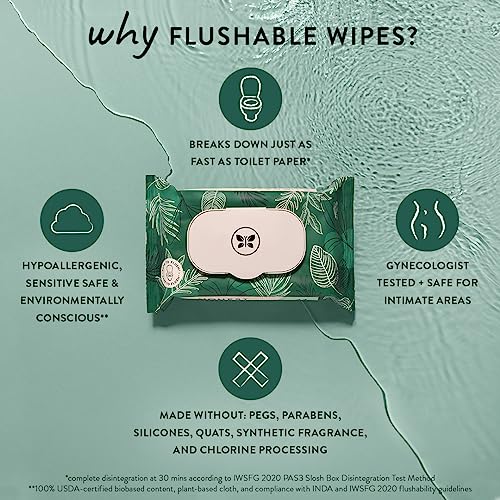 Plant-Based Flushable Wipes | 99% Water | 42 Count