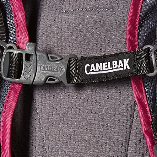 CamelBak Mini M.U.L.E. Kids Hydration Backpack, 50 oz, Baton Rouge/ Flames