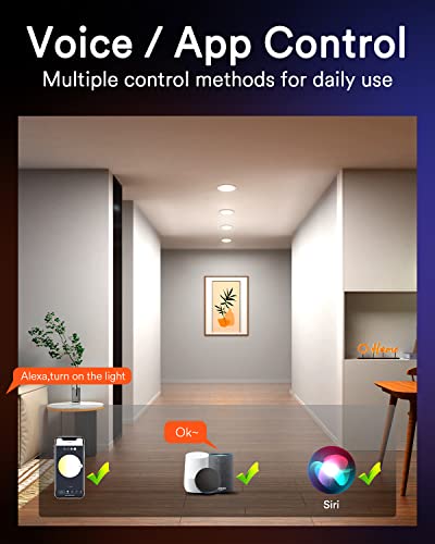 Smart LED Recessed Lighting with Voice Control (4 Pack)