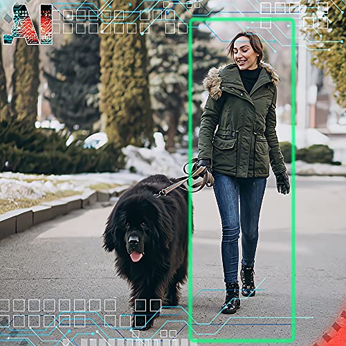 GW 16 Channel 4K NVR 8MP 4K AI Smart Home Security Camera System, (4) Dome and (8) Bullet Built-in Microphone Audio Recording HD 2160P 4K IP PoE Cameras, Face Recognition/Human/Vehicle Detection