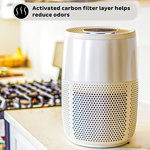 Instant HEPA Air Purifier with Ion Technology for Personal Spaces