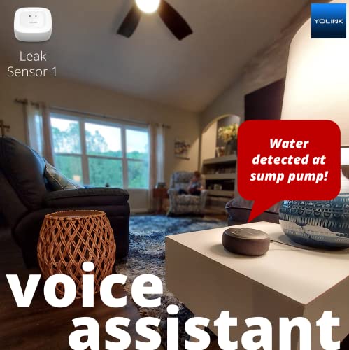 Smart Home Starter Kit with Water Sensor Pack