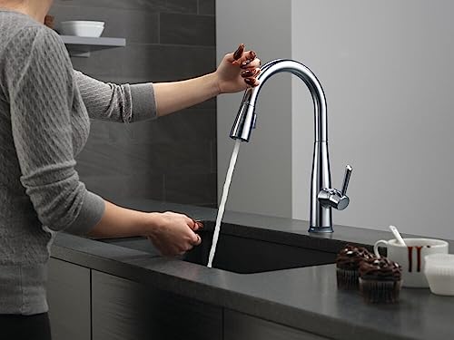 Voice-Activated Delta Kitchen Faucet - Arctic Stainless