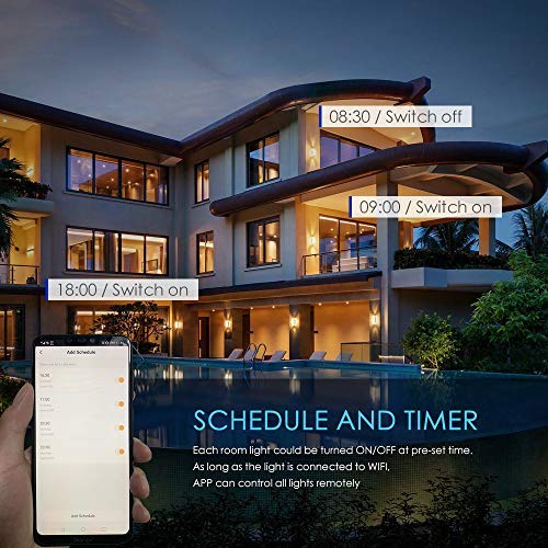 Taloya Smart LED Ceiling Light for Home