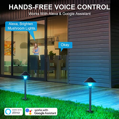 XMCOSY+ Low Voltage Landscape Lights, 200LM Smart LED Pathway Lights with APP Control, Adjustable Warm White&RGB, Compatible with Alexa, 12V 6W Outdoor Landscapes Lighting for Garden Path Lawn(6Pack)