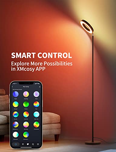 Smart Wi-Fi LED Floor Lamp with Double-Side Lighting