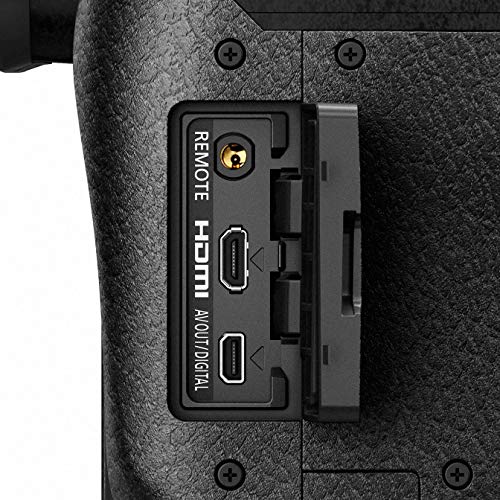 Panasonic LUMIX FZ300 Camera - 4K Video, WiFi