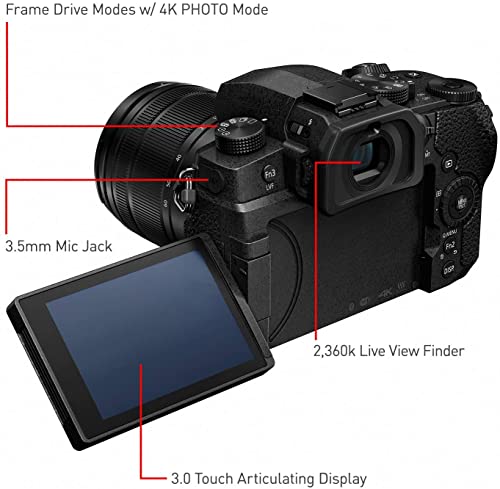Panasonic LUMIX G95D Mirrorless Camera with V-Log