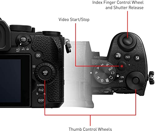 Panasonic LUMIX G95D Mirrorless Camera with V-Log
