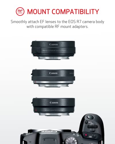 Canon EOS R7 Mirrorless Camera, 4K 60p, 32.5MP