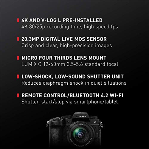 Panasonic LUMIX G95 20.3MP Mirrorless Camera + Lens