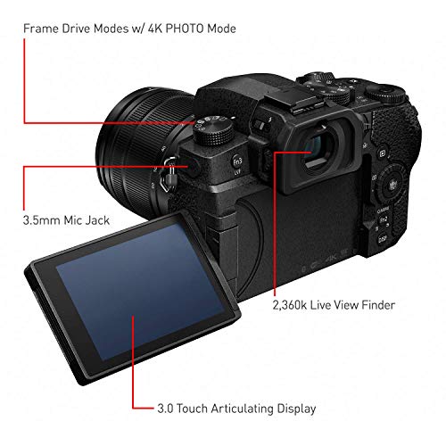 Panasonic LUMIX G95 20.3MP Mirrorless Camera + Lens