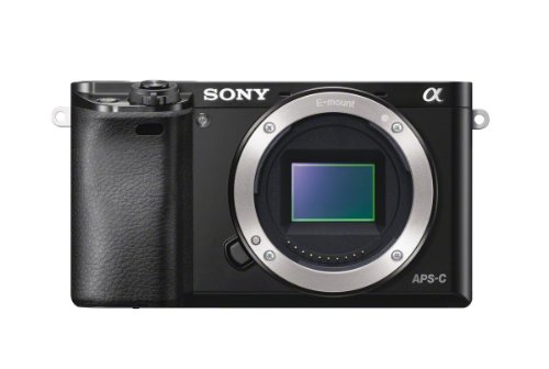 Sony Alpha a6000 24.3 MP Mirrorless Camera - Black