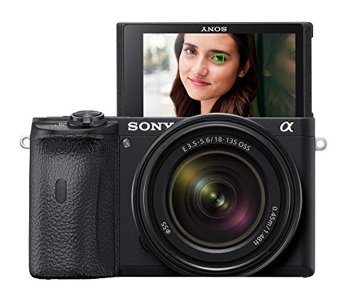 Sony A6600 Mirrorless Camera with 18-135mm Zoom Lens