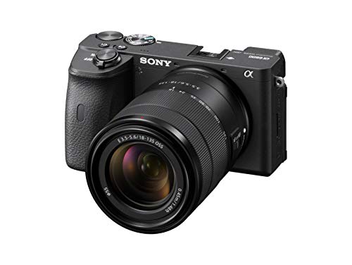 Sony A6600 Mirrorless Camera with 18-135mm Zoom Lens