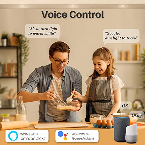 Peteme Smart LED Recessed Light Set