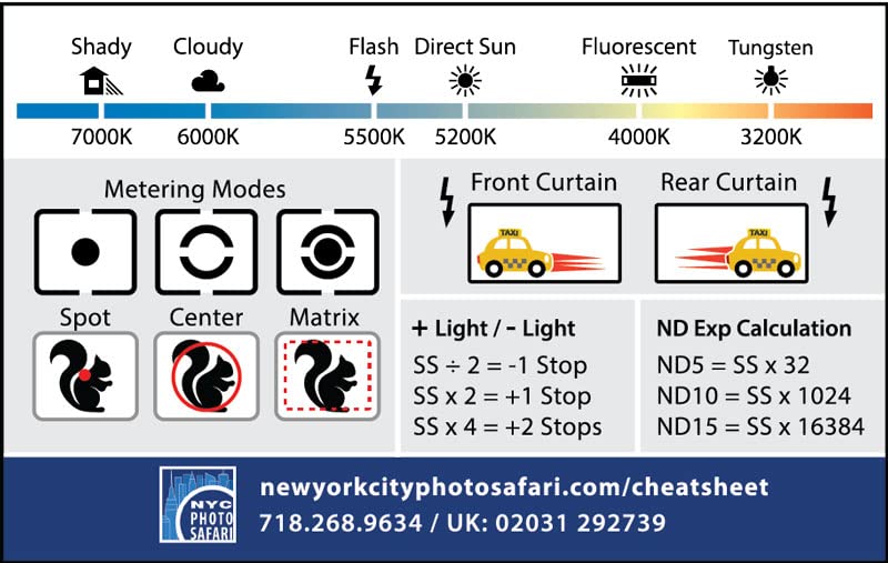 Compact Photography Cheat Sheets for Canon, Sony & Nikon