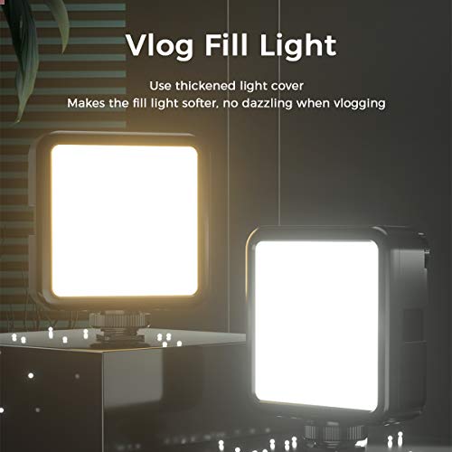 Portable LED Video Light w Softbox - Personal Taste