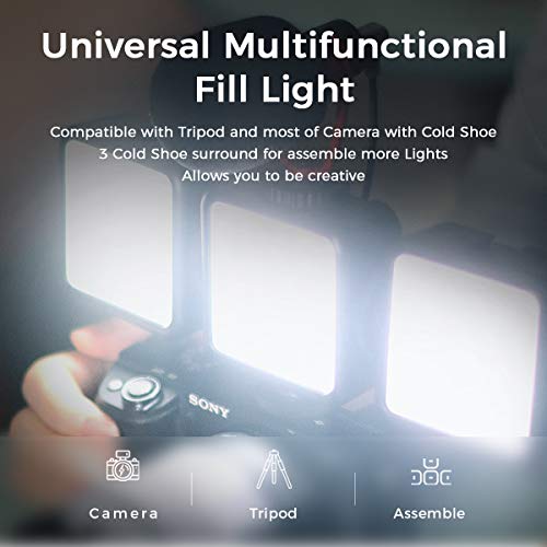 Portable LED Video Light w Softbox - Personal Taste