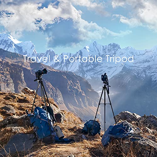 Endurax 60'' Camera Tripod for DSLR and Phone