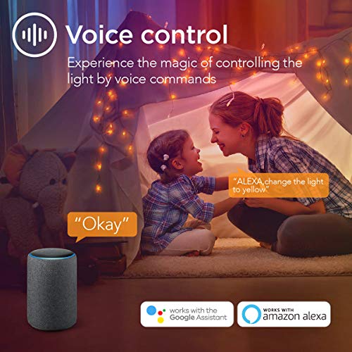 Taloya Smart LED Ceiling Light for Home