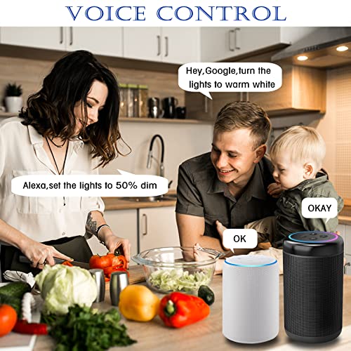 TECICO Smart Recessed Lights with Color Changing (8PACK)