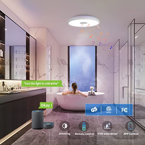 ASALL Smart Waterproof LED Ceiling Light Speaker, RGB