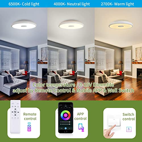 ASALL Smart Waterproof LED Ceiling Light Speaker, RGB