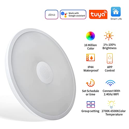 ASALL Smart Waterproof LED Ceiling Light Speaker, RGB