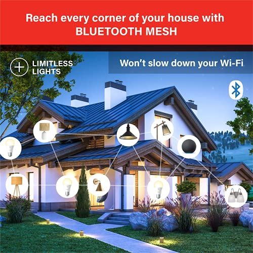 Smart Warm Light Bulb compatible with Alexa devices