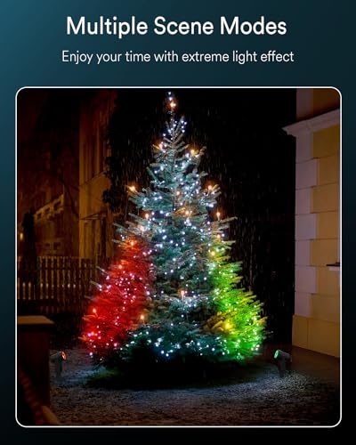 Ligency Smart RGBW Landscape Lighting for Garden Pathway