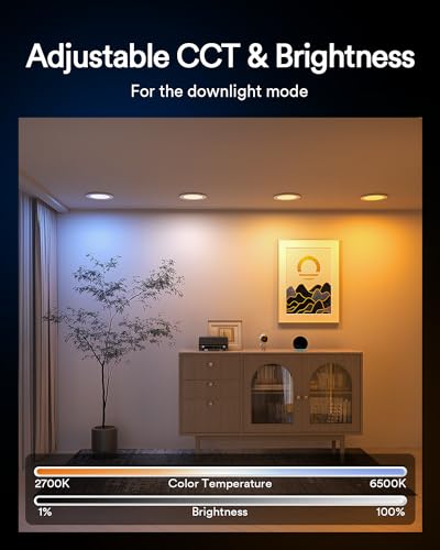 Lumary Smart 6 Inch RGB Night Light Canless