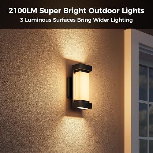 Smart RGBCW Outdoor Wall Lights with Alexa Control
