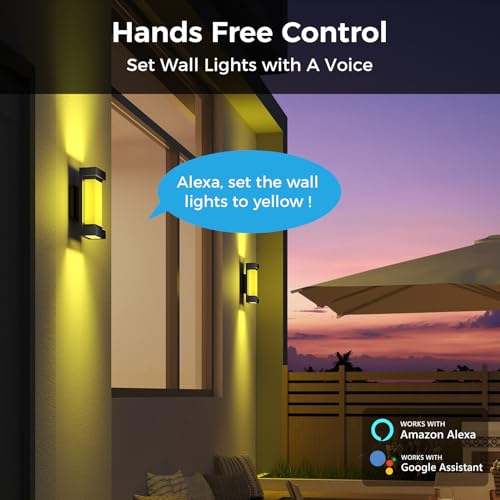 Smart RGBCW Outdoor Wall Lights with Alexa Control