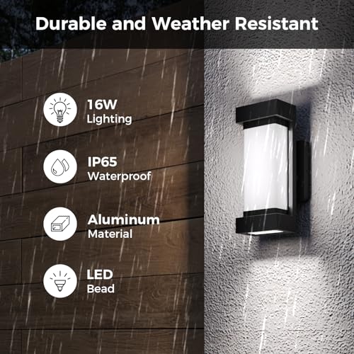 Smart RGBCW Outdoor Wall Lights with Alexa Control