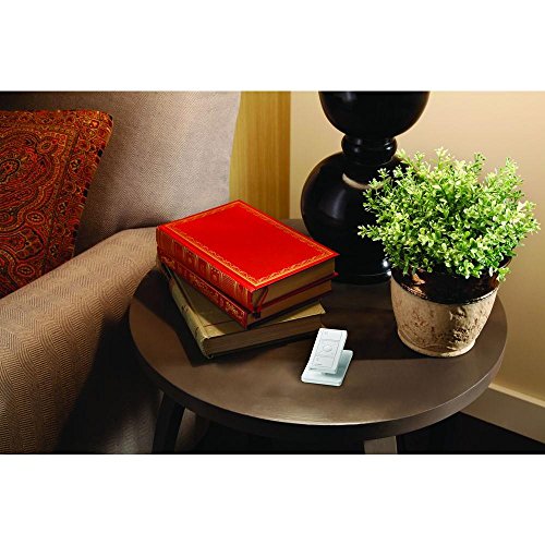 White Lutron Pico Smart Remote Stand
