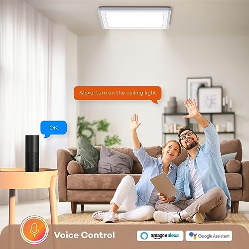 Annaror Smart LED Ceiling Light: Compatible with Alexa