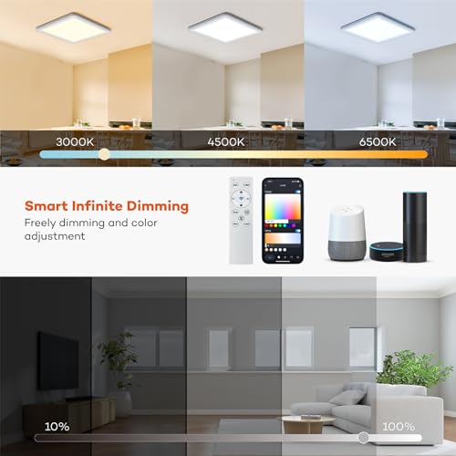 Annaror Smart LED Ceiling Light: Compatible with Alexa