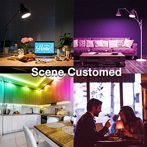 DAYBETTER Smart Color Changing LED Light Bulbs (12 pack)