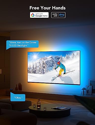 RGBIC TV Backlight for 55-65 inch TVs, Smart