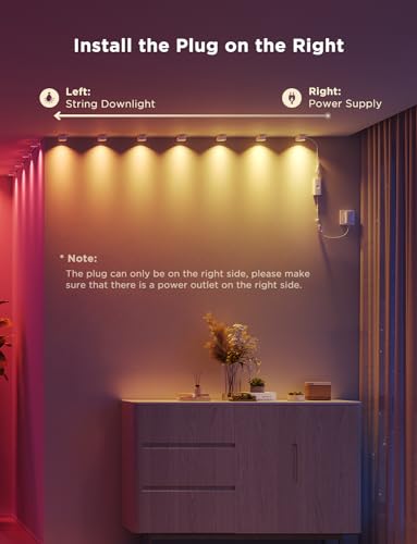 Govee RGBIC Smart LED String Lights with Music Sync