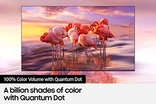 65" QLED 4K Smart TV with Alexa and Multi View